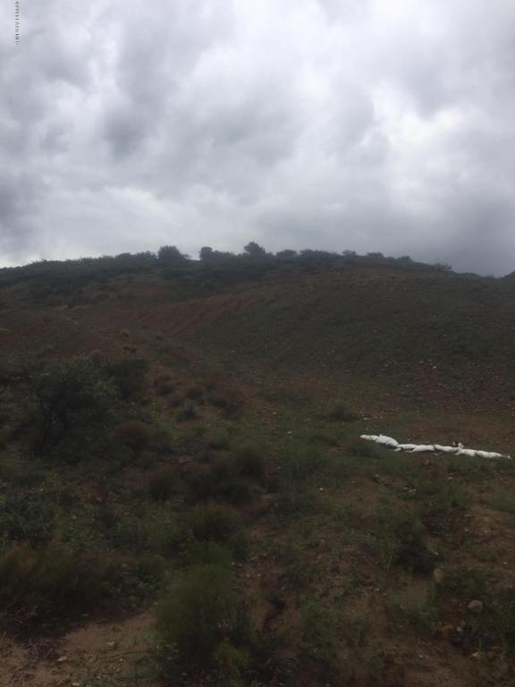 1299 N Oxbow Drive, Dewey-Humboldt, AZ 86327