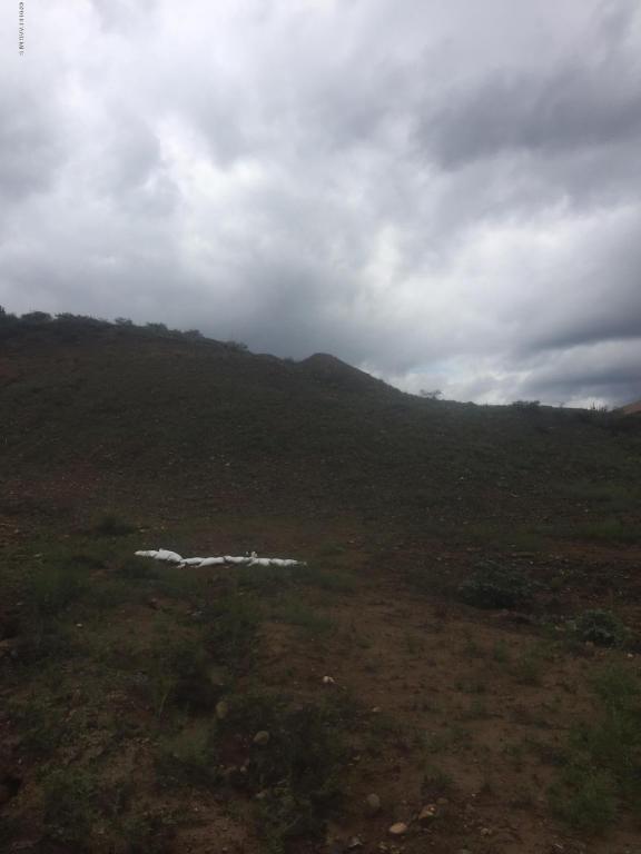 1299 N Oxbow Drive, Dewey-Humboldt, AZ 86327