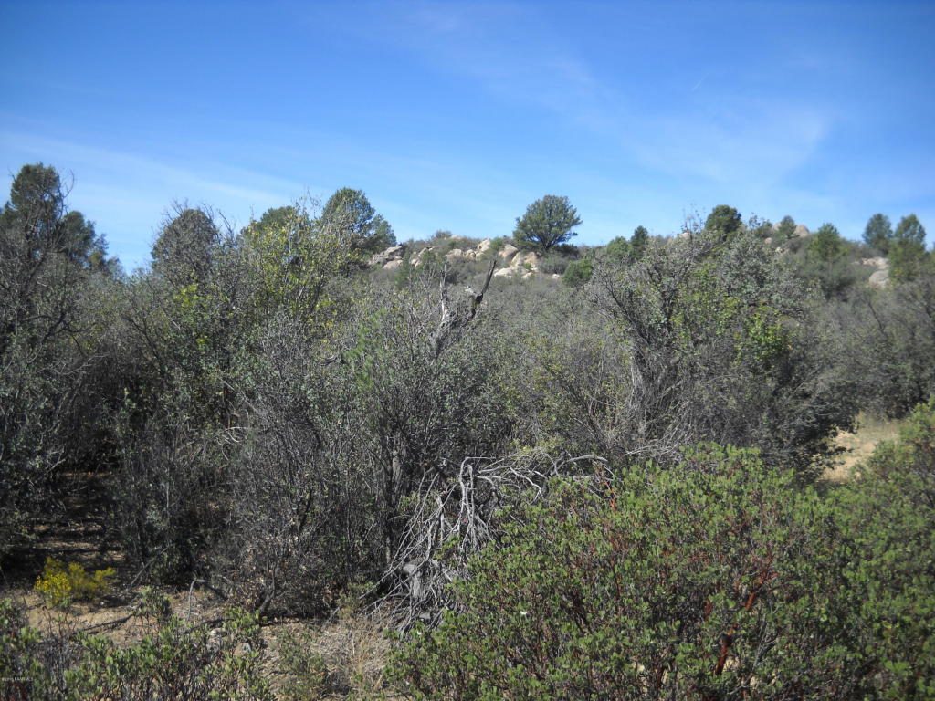 17954 S Pinon Lane, Peeples Valley, AZ 86332