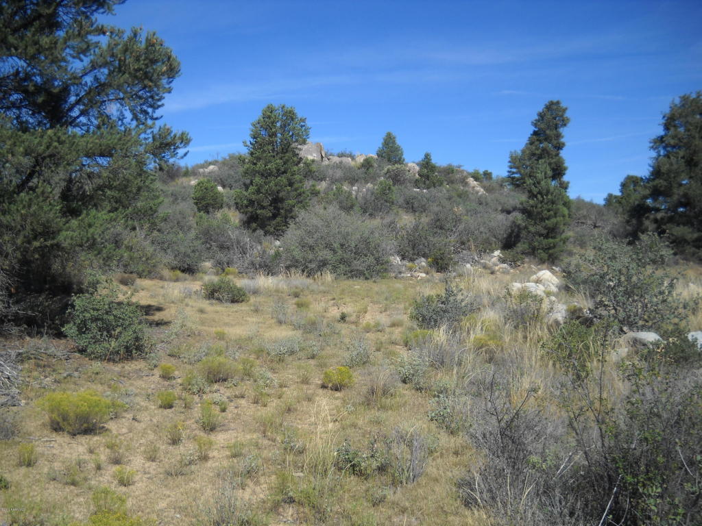 17954 S Pinon Lane, Peeples Valley, AZ 86332