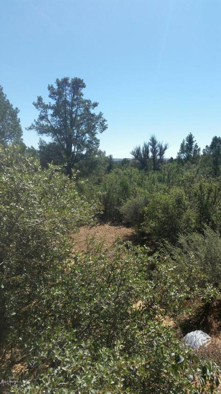 0 S Ruger Ranch, Peeples Valley, AZ 86332