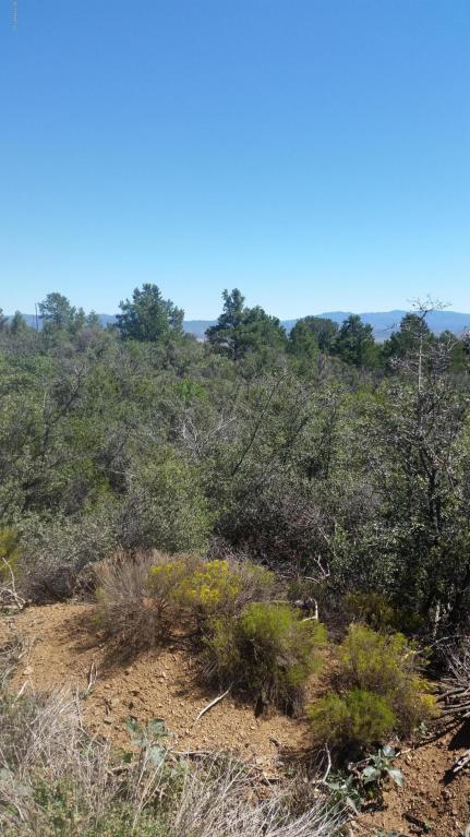 0 S Ruger Ranch, Peeples Valley, AZ 86332