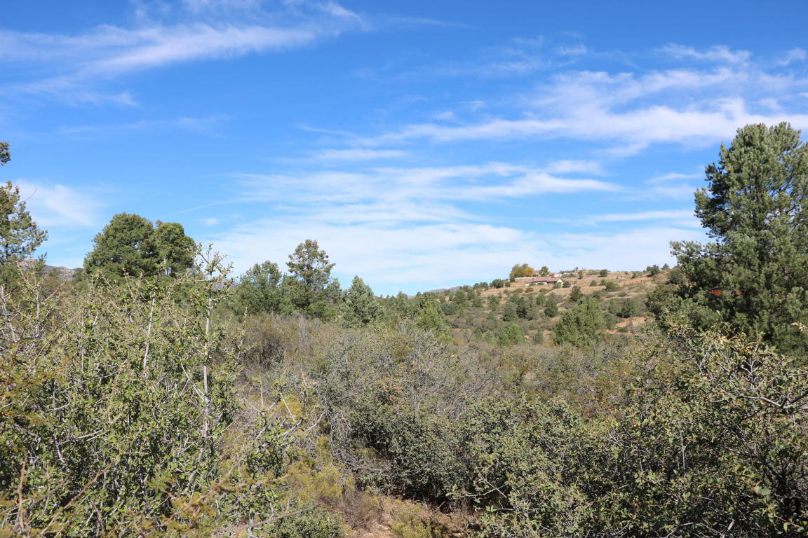 17734 S Tawny Lane, Peeples Valley, AZ 86332