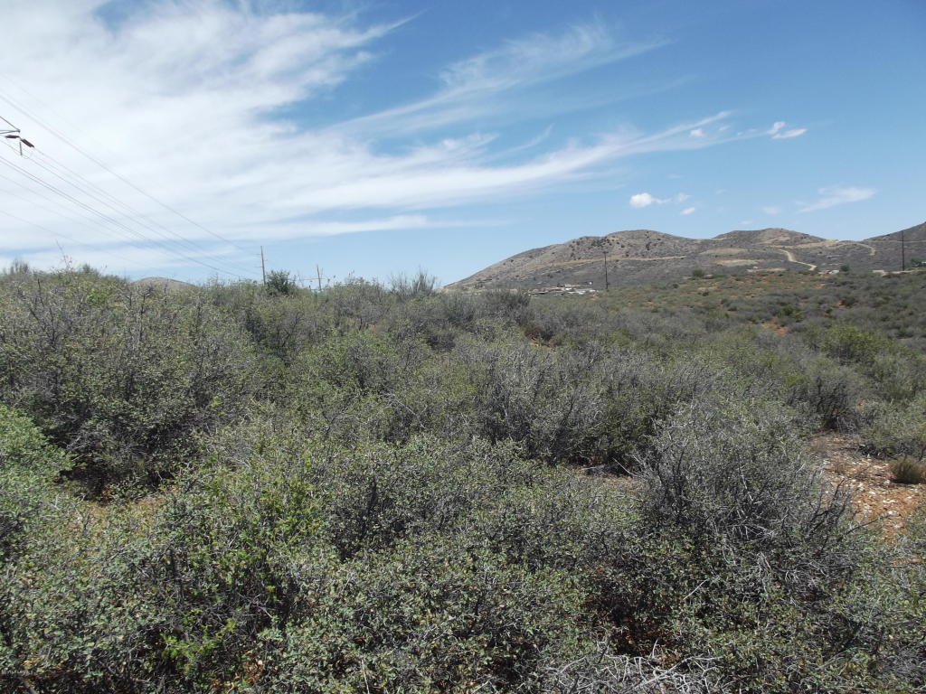 000 S Thoroughbred Lane, Mayer, AZ 86333