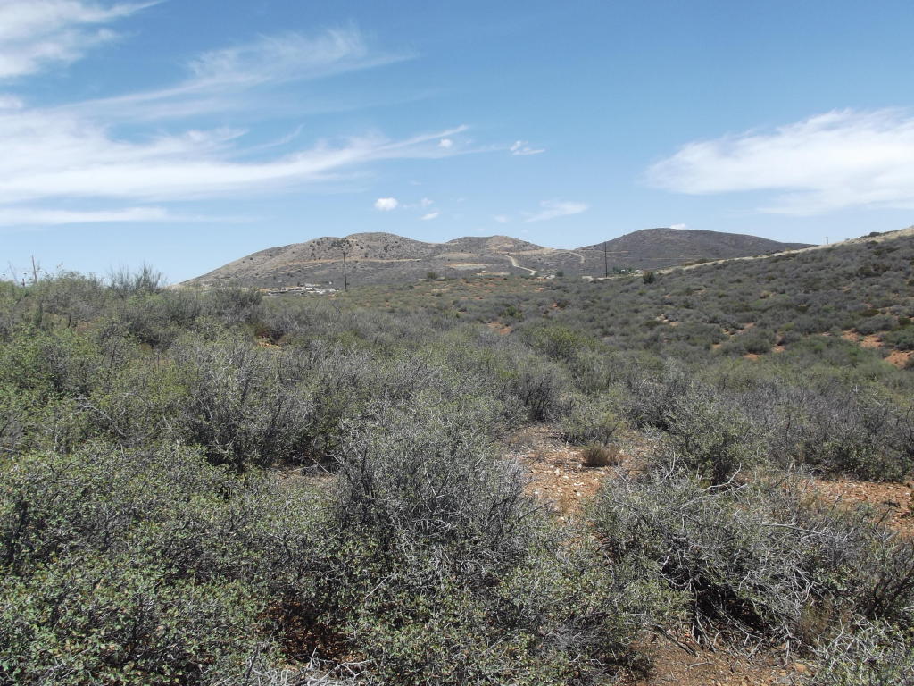 000 S Thoroughbred Lane, Mayer, AZ 86333