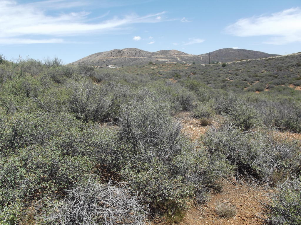 000 S Thoroughbred Lane, Mayer, AZ 86333