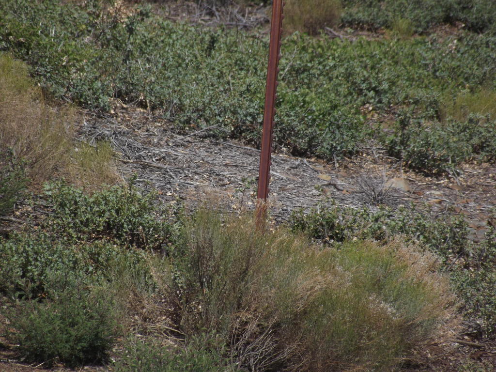 000 S Thoroughbred Lane, Mayer, AZ 86333