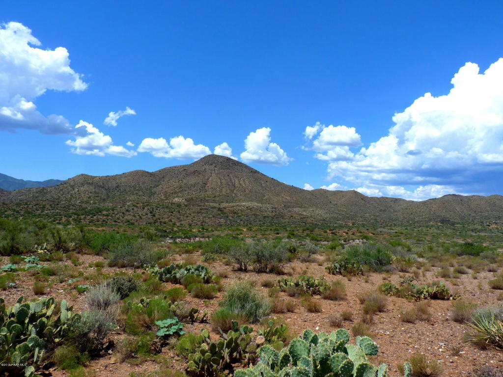 17910 S Dripping Springs Road, Mayer, AZ 86333