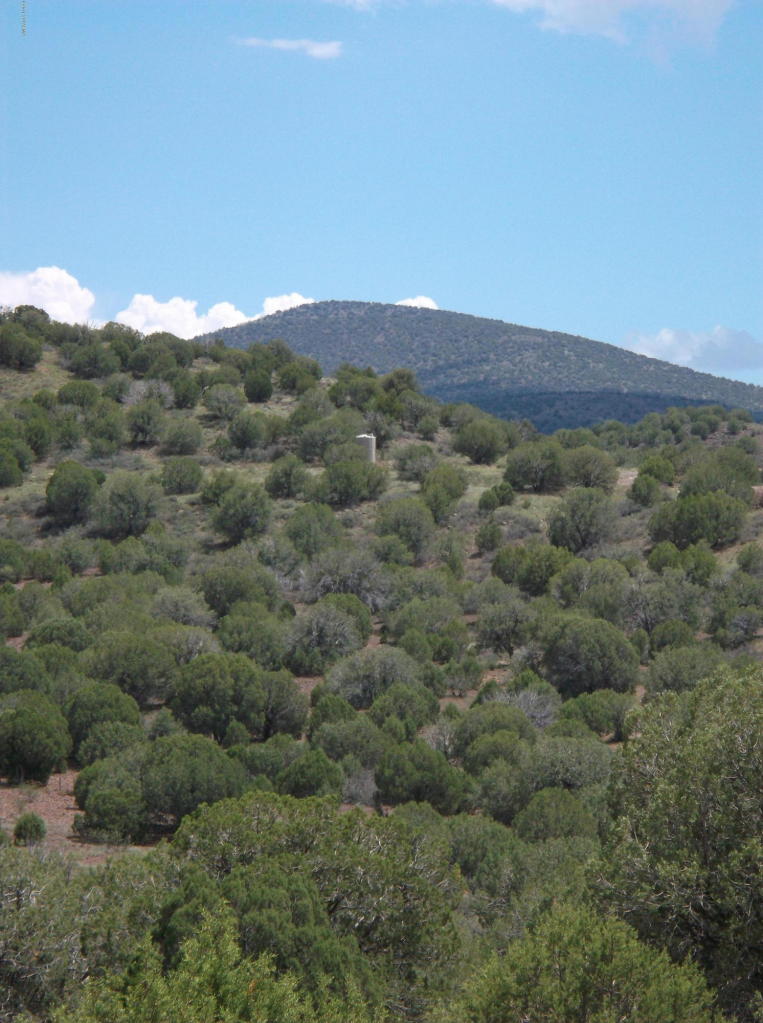 1320 E. REAY RD., Rimrock, AZ 86335