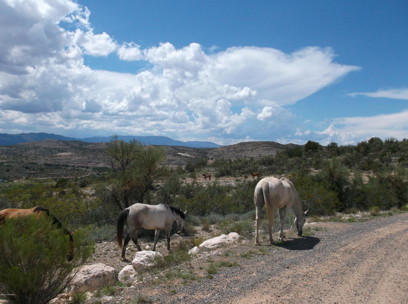 1320 E. REAY RD., Rimrock, AZ 86335
