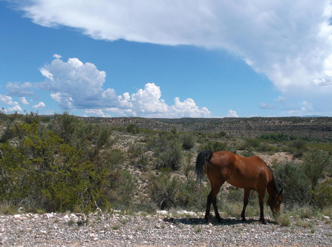 1320 E. REAY RD., Rimrock, AZ 86335