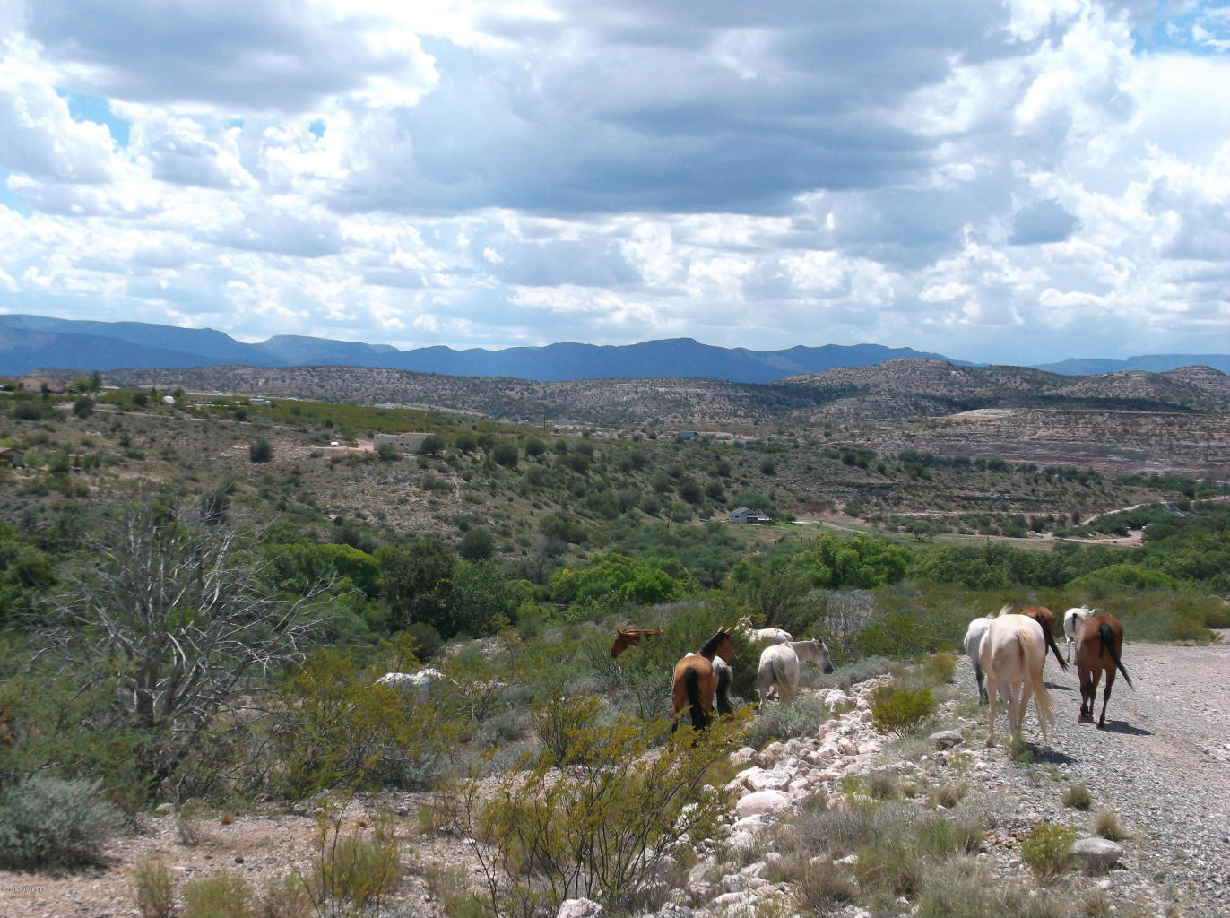 1320 E. REAY RD., Rimrock, AZ 86335