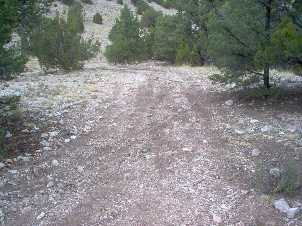 703 Sierra Verde Ranch, Seligman, AZ 86337