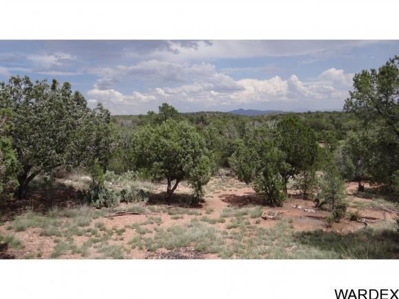 42900 N. Shadow Rock Trail, Seligman, AZ 86337