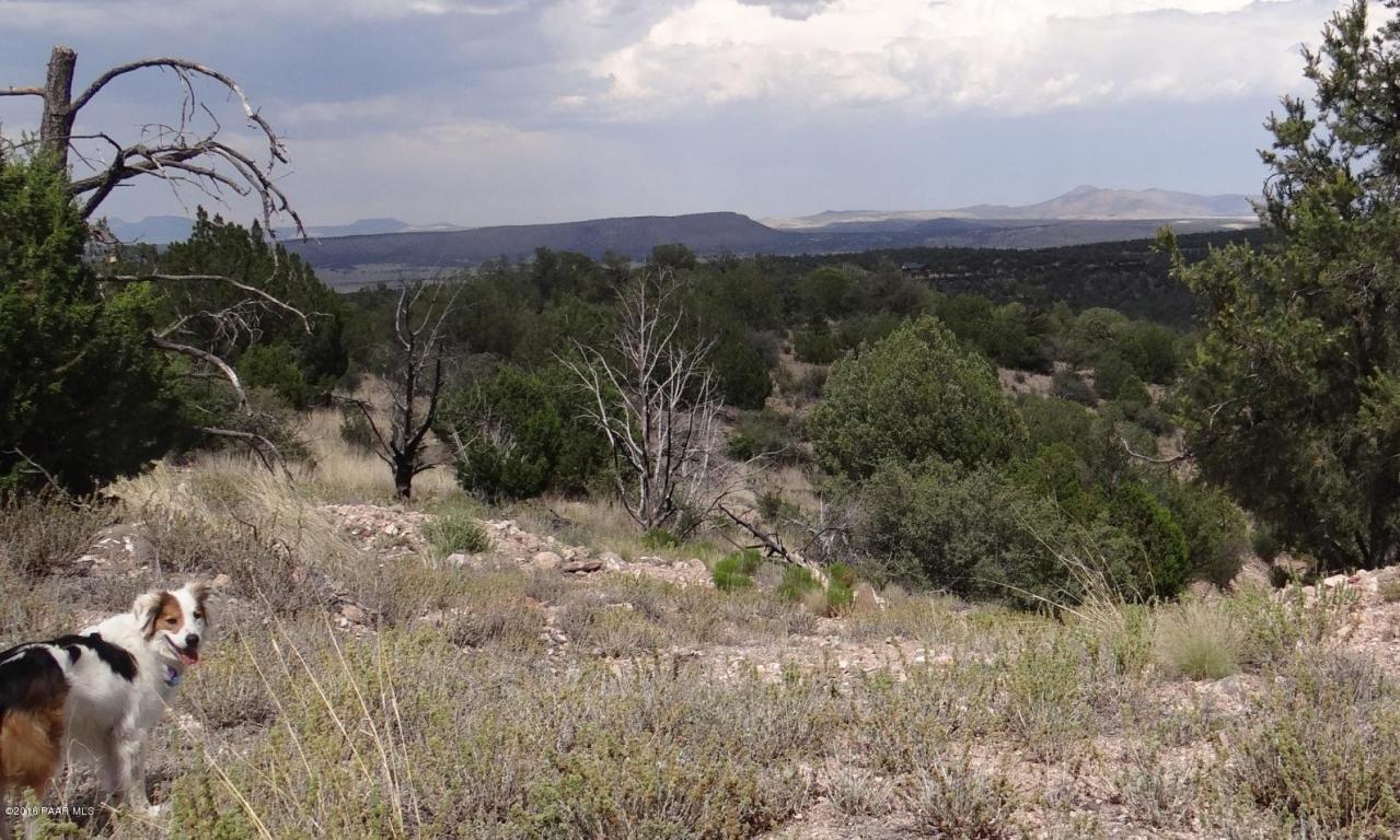 30445 W Ridge Runner Road, Seligman, AZ 86337