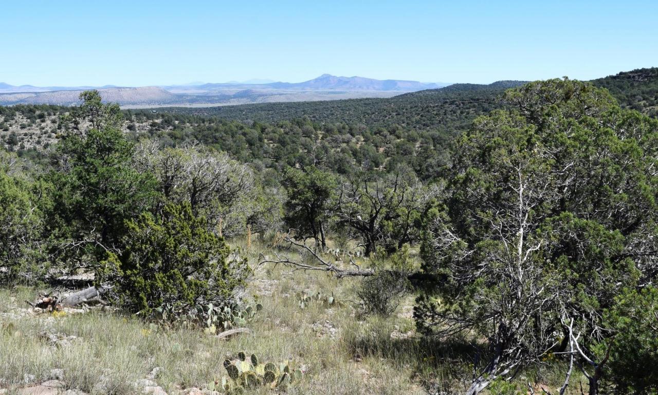 264 Sierra Verde Ranch, Seligman, AZ 86337