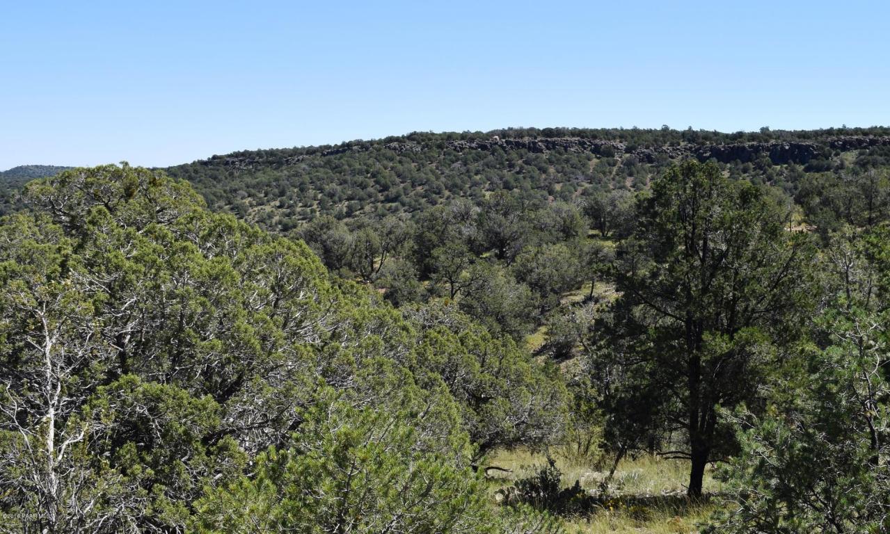 264 Sierra Verde Ranch, Seligman, AZ 86337
