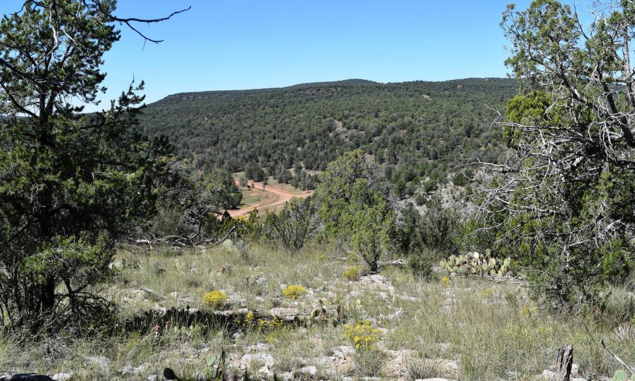 264 Sierra Verde Ranch, Seligman, AZ 86337