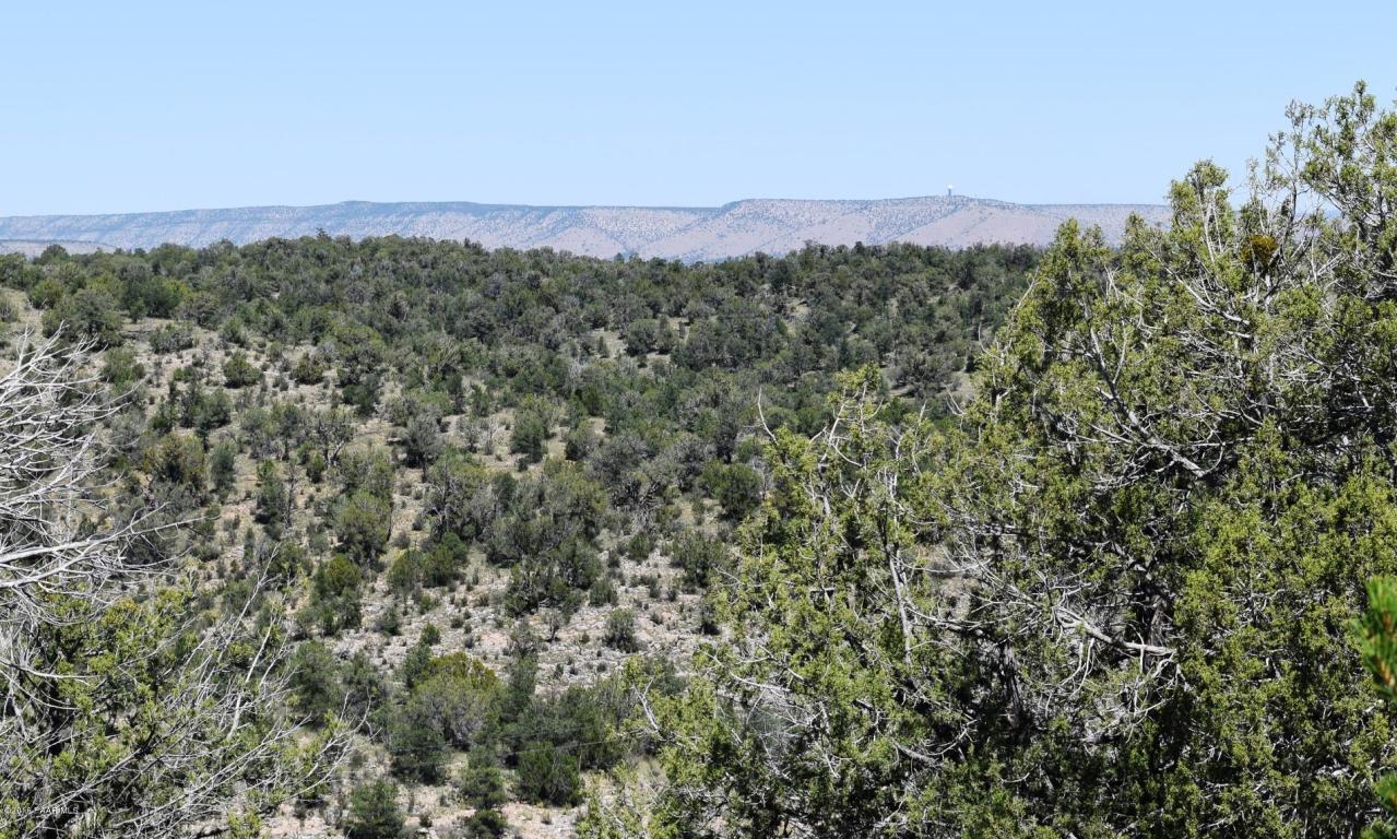 264 Sierra Verde Ranch, Seligman, AZ 86337