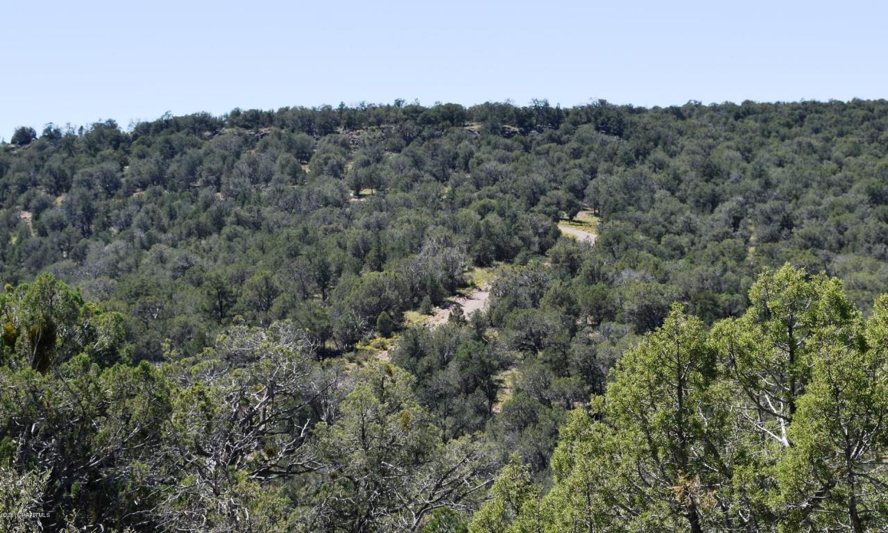 264 Sierra Verde Ranch, Seligman, AZ 86337