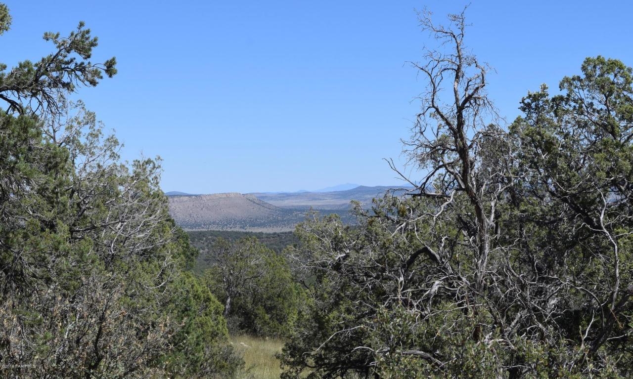 264 Sierra Verde Ranch, Seligman, AZ 86337