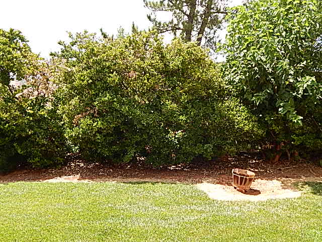 130 Castle Rock Rd #92Sedona, AZ, 86351Yavapai County