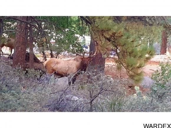 6567 FLAGMINE RD, Kingman, AZ 86401