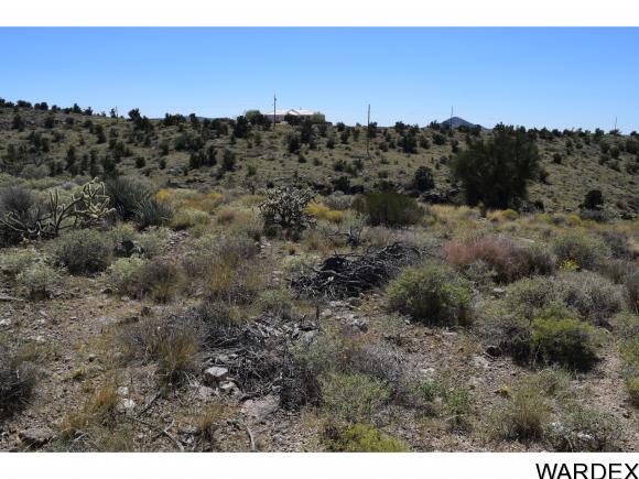 00 APPALOOSA, Kingman, AZ 86401