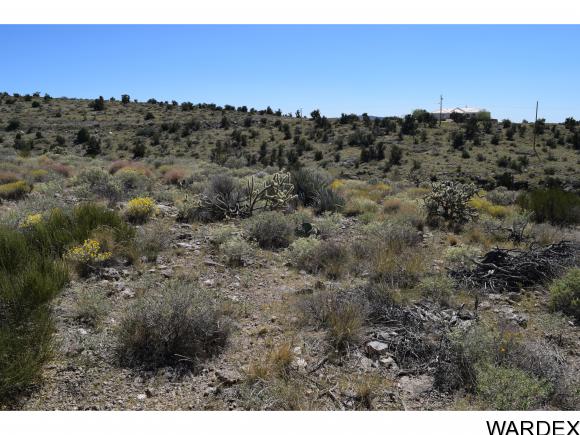 00 APPALOOSA, Kingman, AZ 86401