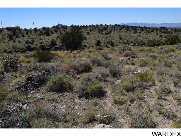 00 APPALOOSA, Kingman, AZ 86401