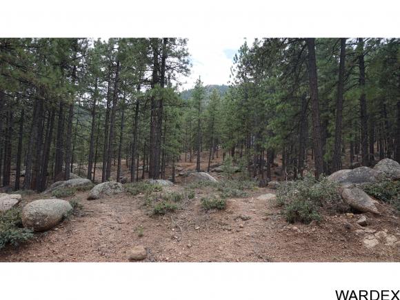 0 Lodge Ln, Kingman, AZ 86401
