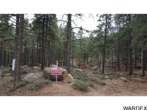 0 Lodge Ln, Kingman, AZ 86401