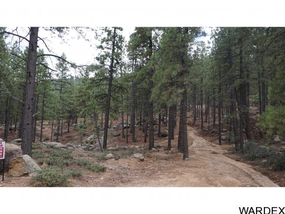 0 Lodge Ln, Kingman, AZ 86401