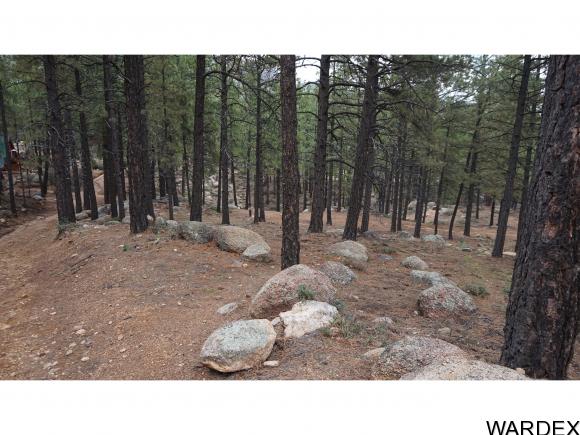 0 Lodge Ln, Kingman, AZ 86401