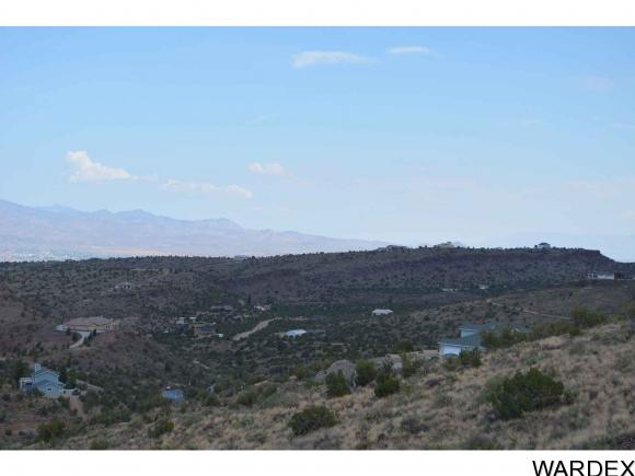 NE Lot Branding Iron, Kingman, AZ 86401