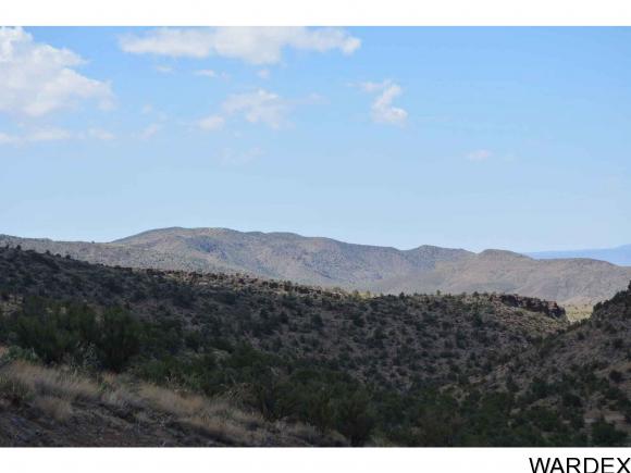 NE Lot Branding Iron, Kingman, AZ 86401