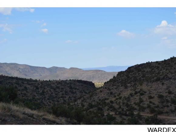 NE Lot Branding Iron, Kingman, AZ 86401
