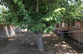 1715 CHICAGO AVE, Kingman, AZ 86401