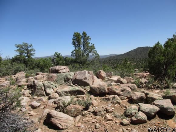 0000 E Blue Willow Lane, Kingman, AZ 86401