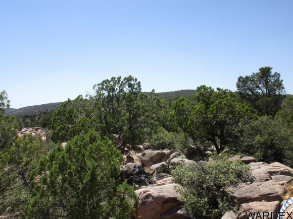 0000 E Blue Willow Lane, Kingman, AZ 86401