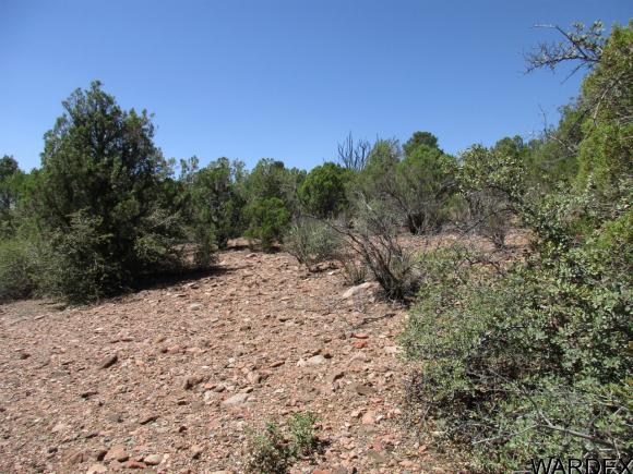 0000 E Blue Willow Lane, Kingman, AZ 86401