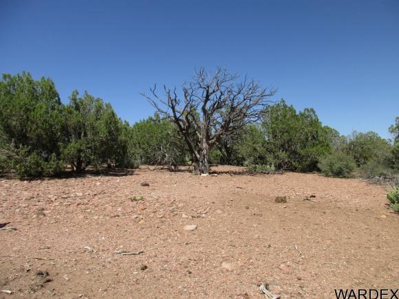 0000 E Blue Willow Lane, Kingman, AZ 86401