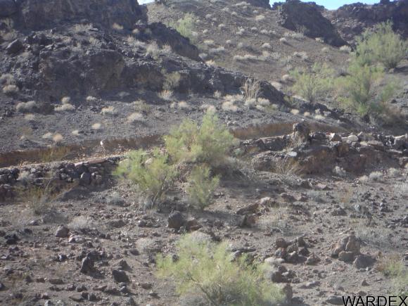 000 SOUTH OF SARA PARK, Lake Havasu City, AZ 86406