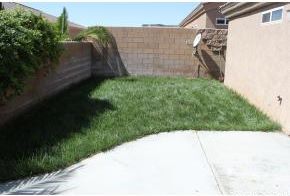 824 PALA MESA, Kingman, AZ 86409