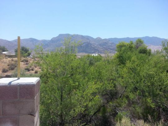 Palm, Littlefield, AZ 86432