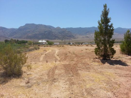 Palm, Littlefield, AZ 86432