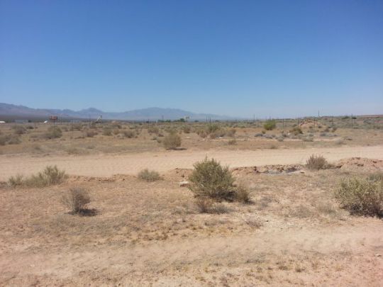 Palm, Littlefield, AZ 86432