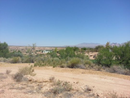 Palm, Littlefield, AZ 86432