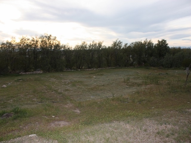433 North Shadow MountaiLittlefield, AZ, 86432Mohave County
