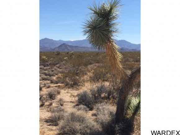 3361 Alamo Rd, Yucca, AZ 86438